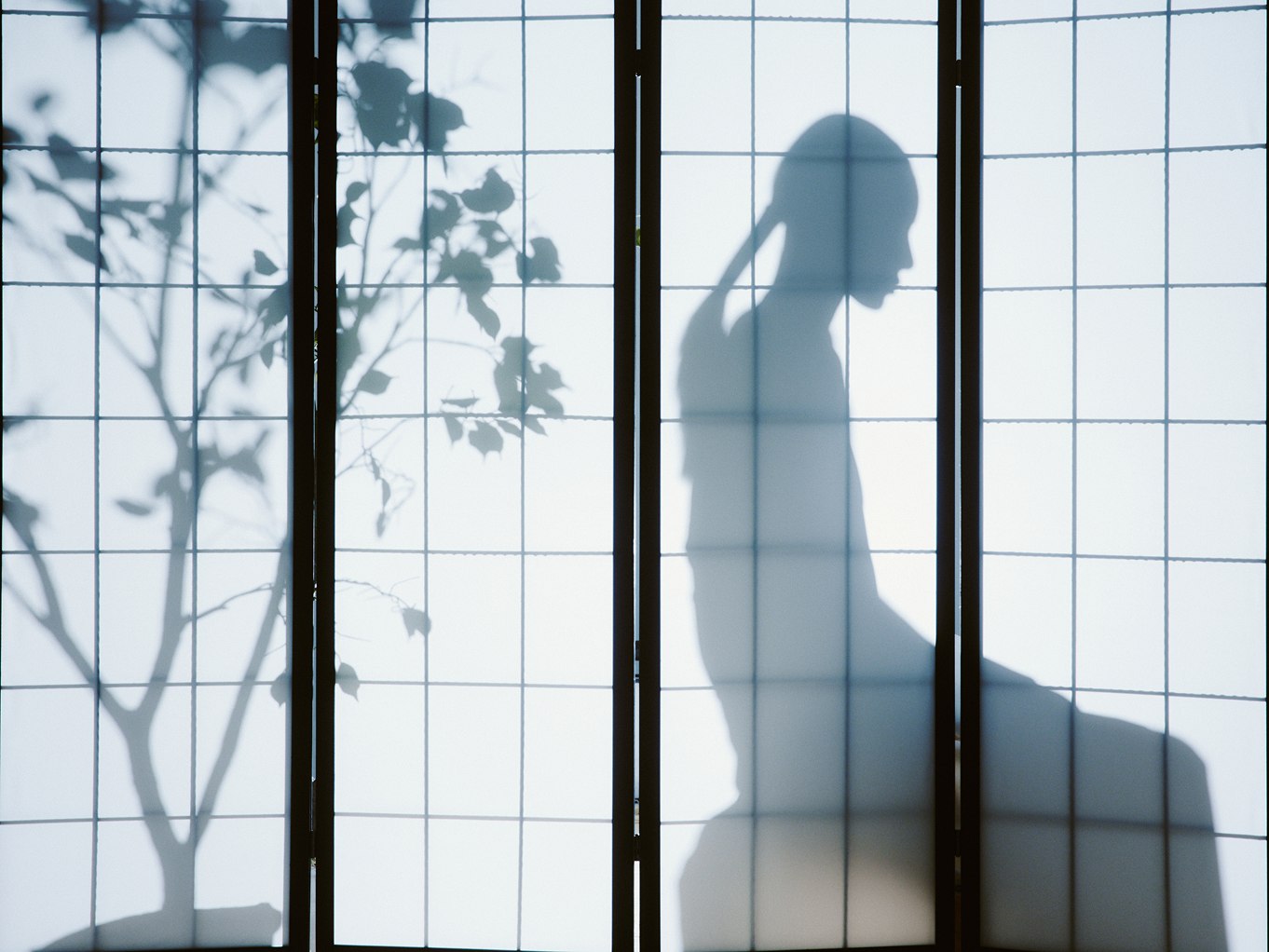 MIOGI LI — silhouette and tree shadow behind a shoji screen